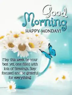 Good Morning Happy Monday daisy butterfly