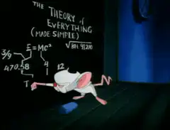 Brain writes theory of everything