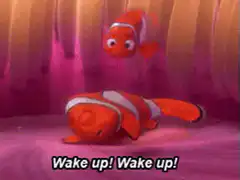 Nemo wakes up Marlin