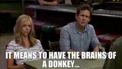 It means to have the brains of a donkey