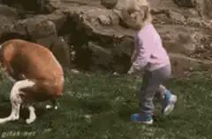 Toddler pats dog's butt