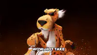 Cheetah Meme Wow Hot Take