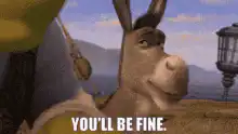 Donkey You'll Be Fine