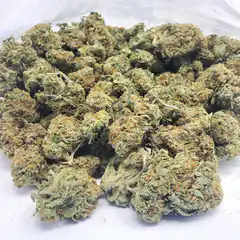 dried cannabis buds in plastic bag