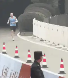 Dog runs across marathon finish line