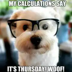 Dog with glasses says it's thursday