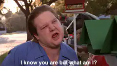 I know you are but what am I?