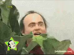 Man eating lettuce with wide eyes