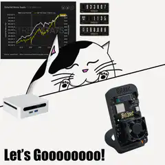 Cat excited about crypto mining