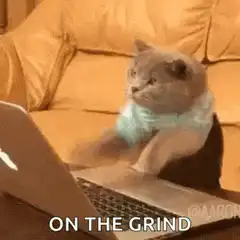 cat on the grind laptop