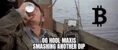 og hodl maxis smashing another dip