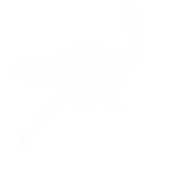 faint white ostrich silhouette