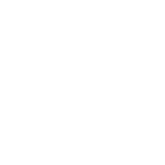 blank white screen