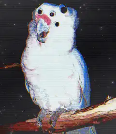 Glitchy white bird on branch