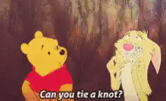 Winnie the Pooh and Rabbit knot pun