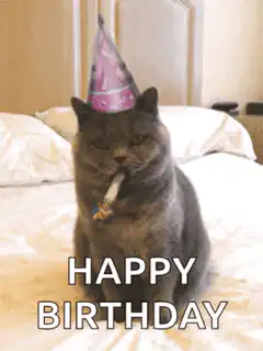 Cat with party hat and cigar happy birthday