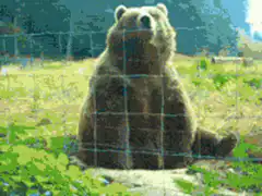 bear waving hello