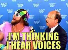 I'm thinking I hear voices but my eyes don't lie