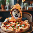 Shiba Inu in hoodie with pizza
