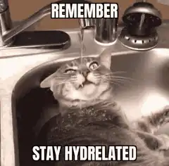 Cat drinking from faucet stay hydrelated