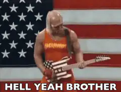 Hulk Hogan plays guitar with American flag