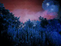 Fireworks over forest with shifting colors