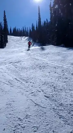 skier carving through deep powder snow