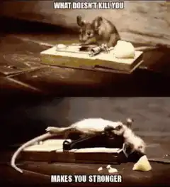 Mouse on a mousetrap meme