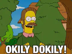 Okily Dokily Ned Flanders