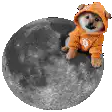Shiba Inu in orange hoodie on moon