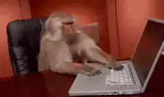 Monkey typing on laptop