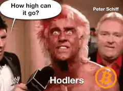 Hulk Hogan shocked Hodlers