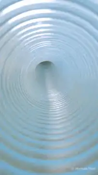 hamster running in wheel