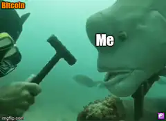 Bitcoin hammering the fish