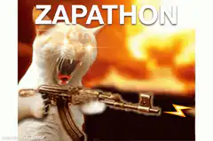 Zapathon Cat Meme