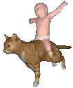 Baby riding a cat