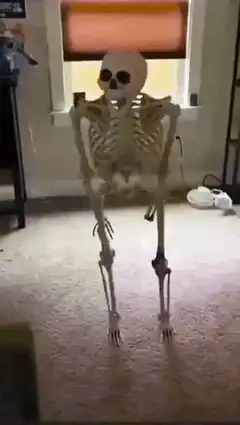 Skeleton dancing in a room