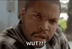 Ice Cube Wut???