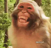 Laughing monkey in forest