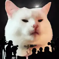 White Cat Press Conference