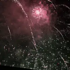 Pink and white fireworks exploding in night sky