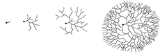 Fractal tree growth animation