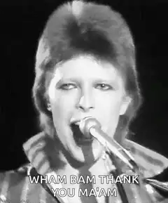David Bowie Wham Bam Thank You Ma'am
