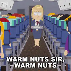Flight Attendant Warm Nuts Sir