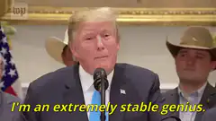 Donald Trump stable genius