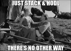 Just Stack and HODL Meme