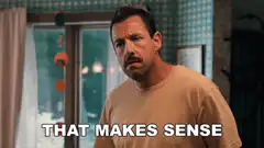 Adam Sandler That Makes Sense