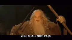 Gandalf You Shall Not Pass