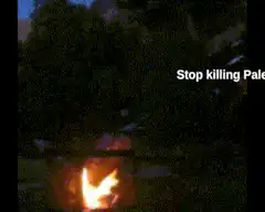 Stop killing Palestinians fire GIF