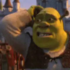Shrek scratching his head confused